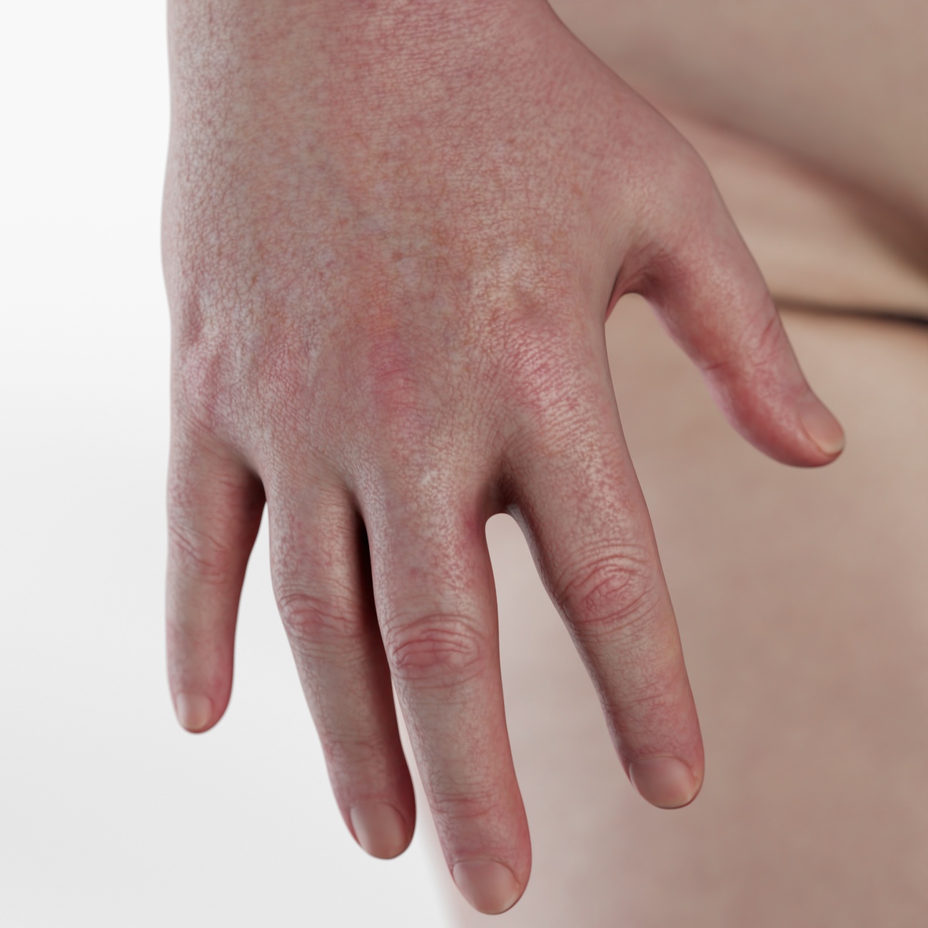 Detailed 3D scan render of a heavy-set male hand showing knuckle geometry, skin crease detail and photogrammetry surface accuracy